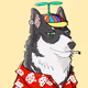 Husky