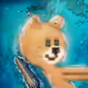PUMP PURR island 🏝