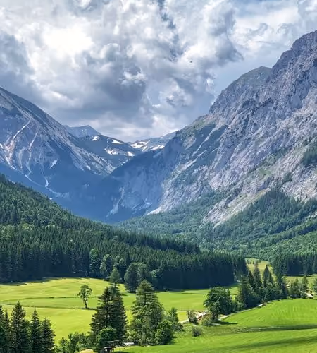 nature