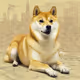 Techdoge