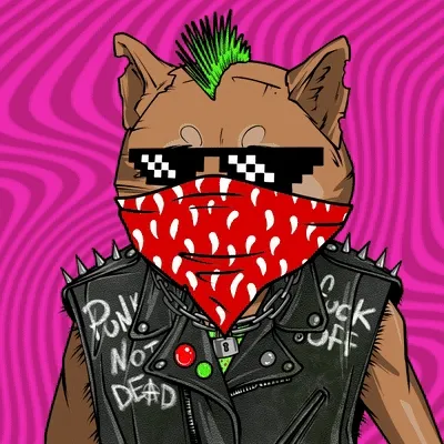 DOGE Gang