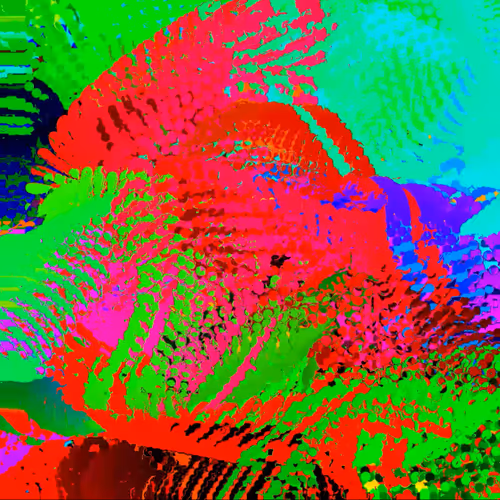 Anomalia