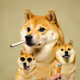 Cig Doge