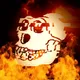 R.I.P Ape Yacht Club