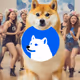 Dog coterie