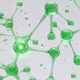 EVREGREEN