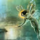 Fairies