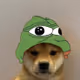 Based dogwifhat