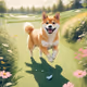 DOGE OnChain