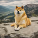 doge mountain1