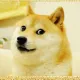 vlkn