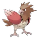 Spearow