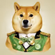 Doge go Brrrrrr