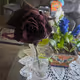 Pretty Things