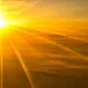 BASE SUNSHINE