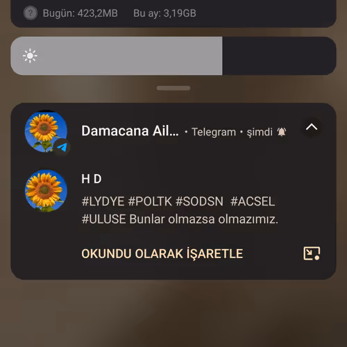 Taf