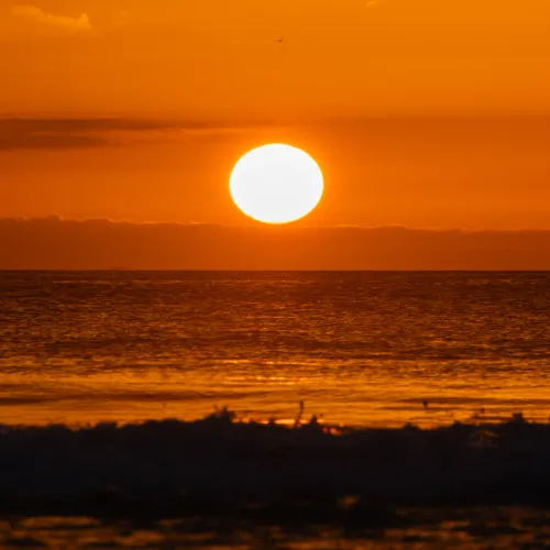 Golden Moment