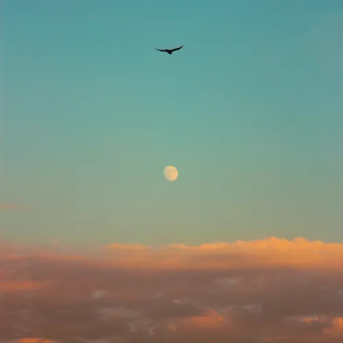 Solitary Flight