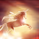 unicorn