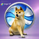 Doge XP
