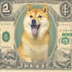 In DOGE We Trust