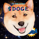 doge1