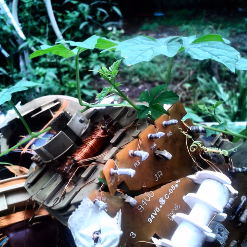 Organic Discovery (Collection)