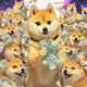 Many Money Doge