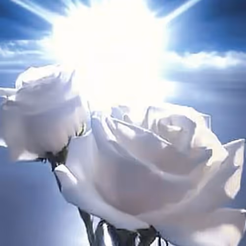 Zora Posts