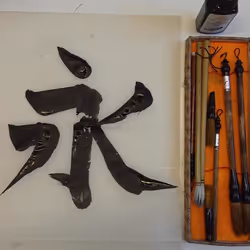 gaian shodo experimints