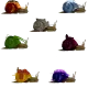 SR