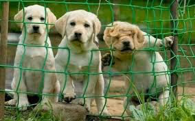 иди сюда на разговор