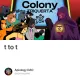 The Final Trial: When Colonies Converge