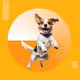 JumpingDoge on Base