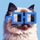 Mister Miggles with Nouns