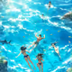 to swim
