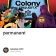 The Final Trial: When Colonies Converge