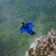 BASE Jump