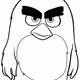 angry birds