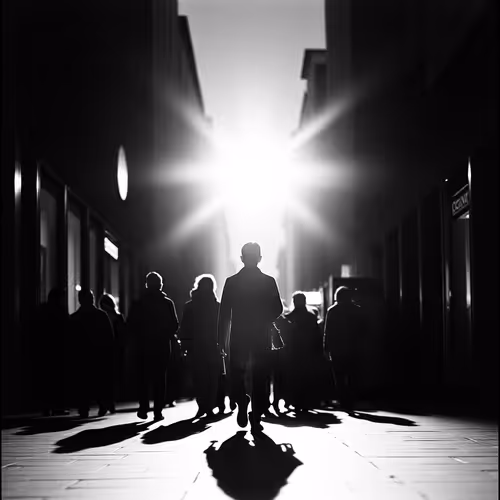 shadows 👤