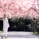 a girl under the peach blossoms