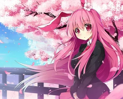 animeshnik