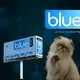 Mr Miggles introduces Blue Social