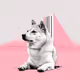 Brutally Based Doge - α - ROSA