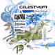 CELESTYUM GA