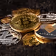 Btc Power 2024 Bull