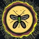 Butterfly Energy