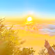 summer sun