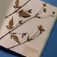 Herbarium 𓏲 ๋࣭  ࣪ ˖