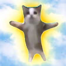 @happy_cat on Drakula.app